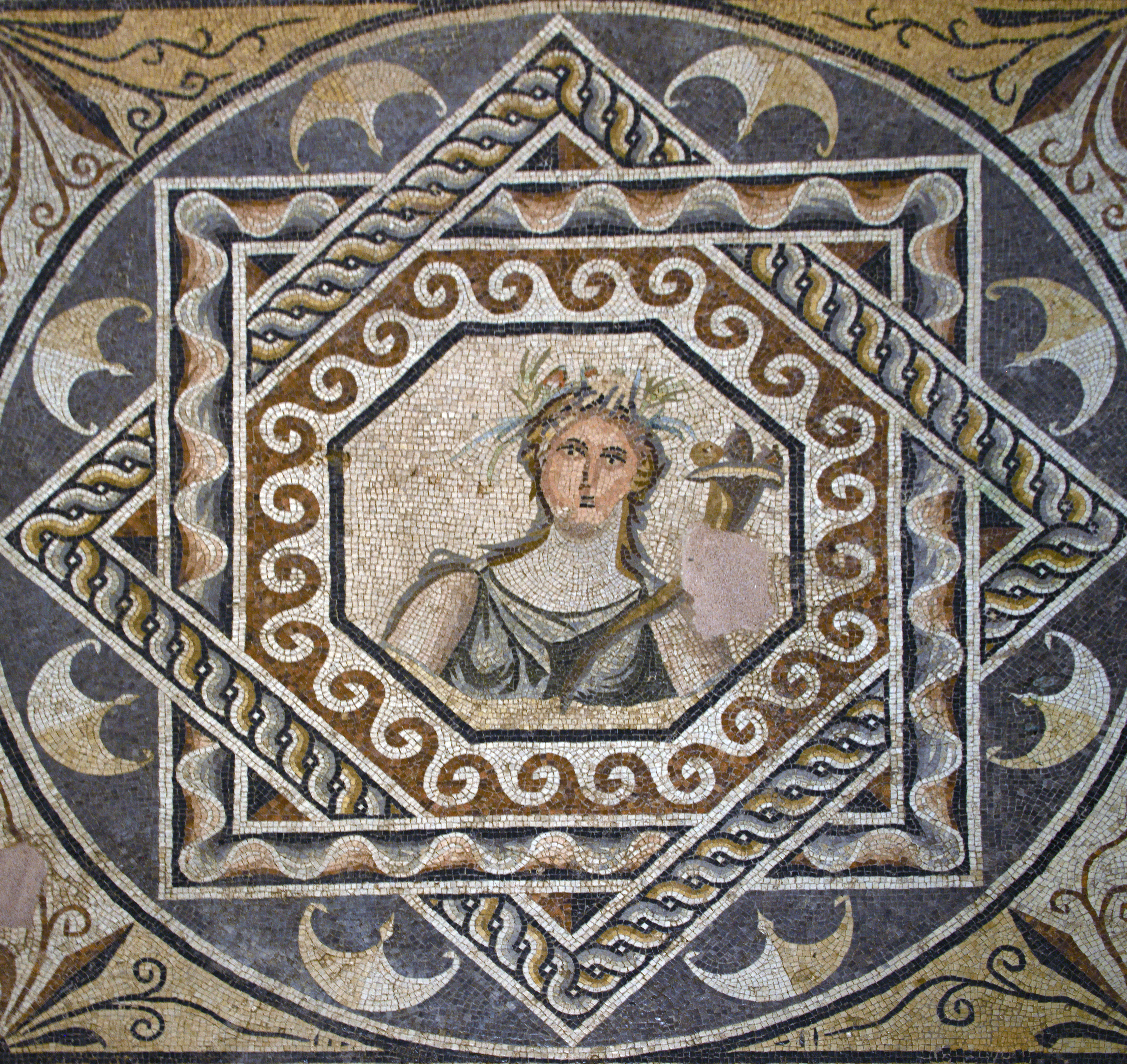 Stylised portrait of Gaia